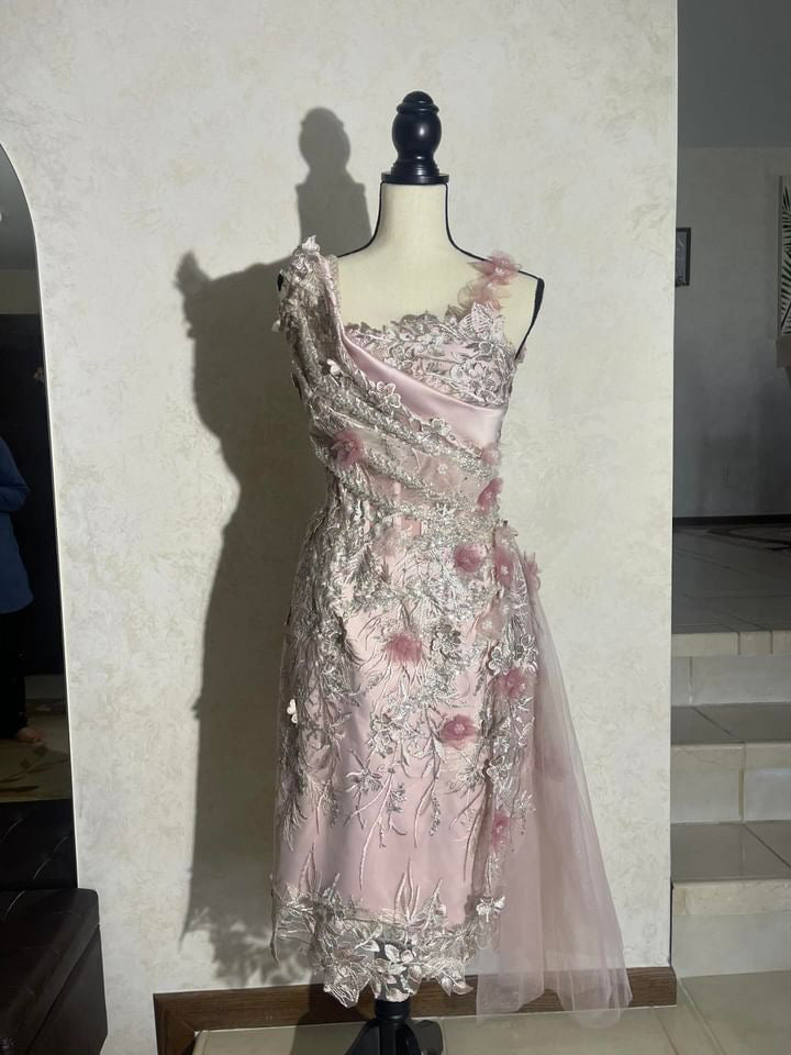 24: Light Pink Dress (6-8)